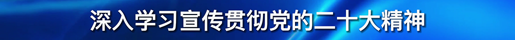 深入学习宣传贯彻党的二十大精神